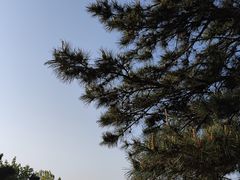 -天津盘山风景名胜区
