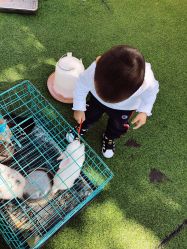 -萌宠亲子动物乐园(槐房万达店)