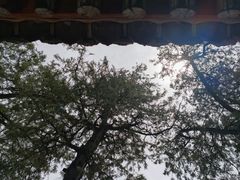 -窦大夫祠