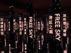 -平安金融中心云际观光层