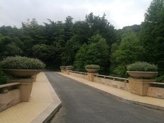 -云溪植物园