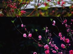 -桃花涧