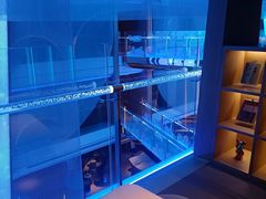 -水之梦(黄浦店)