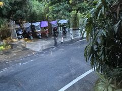 -生态苑农庄(十里画廊遇龙河店)