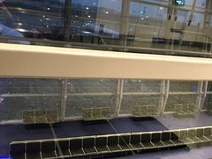 -吉隆坡国际机场