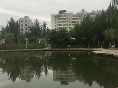 -雁滩公园