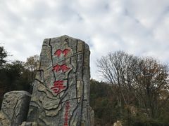 -木兰云雾山