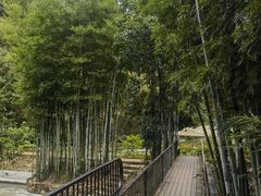 -世间香境·七溪地