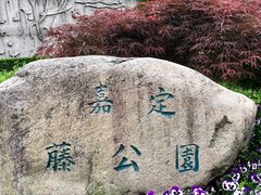 -嘉定紫藤园
