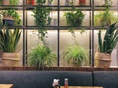 -Q MEX 库迈墨西哥餐吧(双井店)
