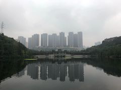 -重庆彩云湖湿地公园