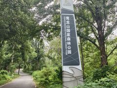 -青龙山国家森林公园