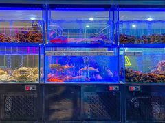 -南海渔村(珠江新城店)