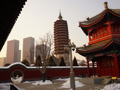 -西海子公园