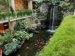 -白天鹅宾馆-宏图府餐厅