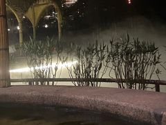 -美的鹭湖森林度假区