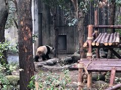 -宫廷糕点铺