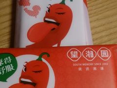 -望湘园·湖南菜(宏伊店)