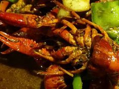 -辣猫龙虾(马泉营店)