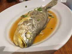 黄花鱼-mezza9 Macau(澳门君悦酒店)