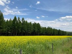 -塞罕坝国家级自然保护区