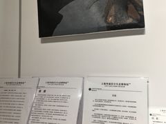 -上海外滩星空失恋减压馆(外滩旗舰馆)