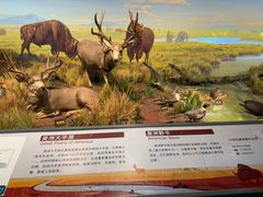 -陕西自然博物馆