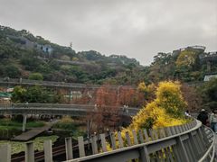 -福道