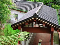 -广州神农草堂中医药博物馆