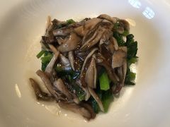 -福1015(愚园路店)