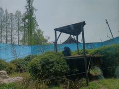 -成都动物园
