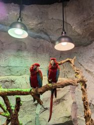 -Zoolung Zoolung动物主题公园(海信广场店)