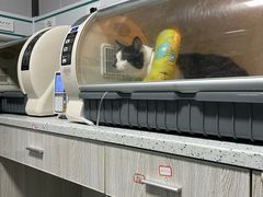 -半岛宠物医院24小时(科华中路店)