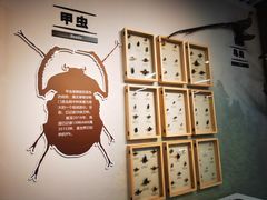 -浙江自然博物院(杭州馆)