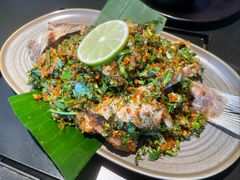 -Ameigo梅果·云贵川bistro(长宁来福士店)