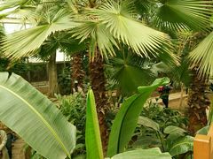-石家庄市植物园