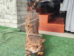 -云间粮仓