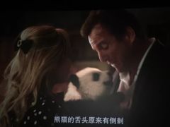 座椅-博纳国际影城(铜锣湾激光巨幕杜比店)