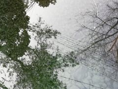-白云源风景区