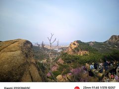 -青岛大珠山景区