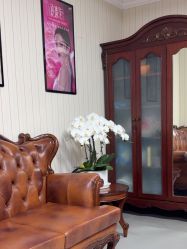 -南京医科大学友谊整形外科医院