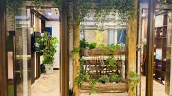 -青青一生美皮肤管理