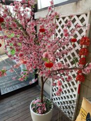 -卓玥国际月子会所(罗山路店)