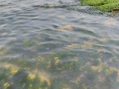 -青岛第三海水浴场