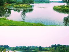 -东郊湿地公园