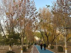 -太阳宫公园