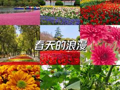 -上海鲜花港