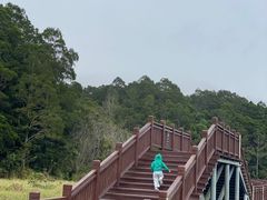 -海南热带雨林国家公园吊罗山景区