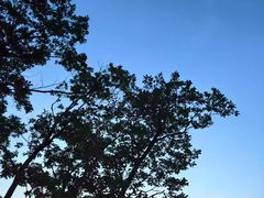-吉林拉法山