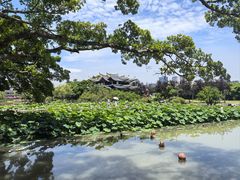 -江心屿景区